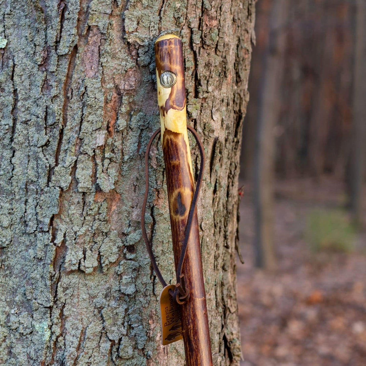 Walking Stick Brazos Free Form Wood 58 Inch Height Hawthorn