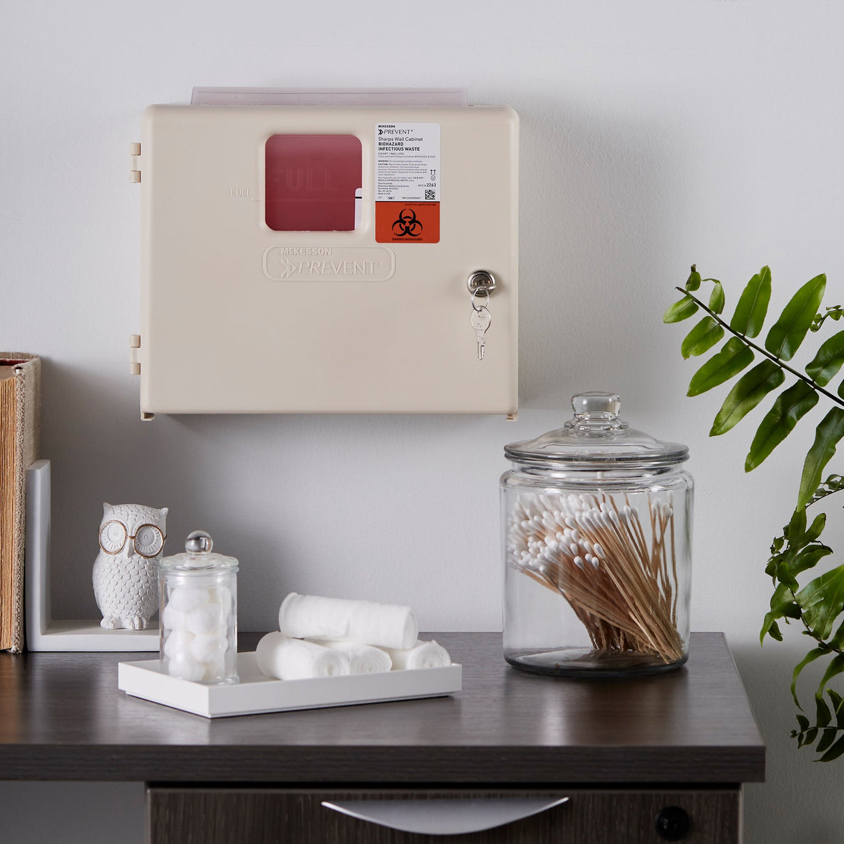 Sharps Container Cabinet / Wall Enclosure McKesson Prevent High Impact Polystyrene Wall Mount Locking