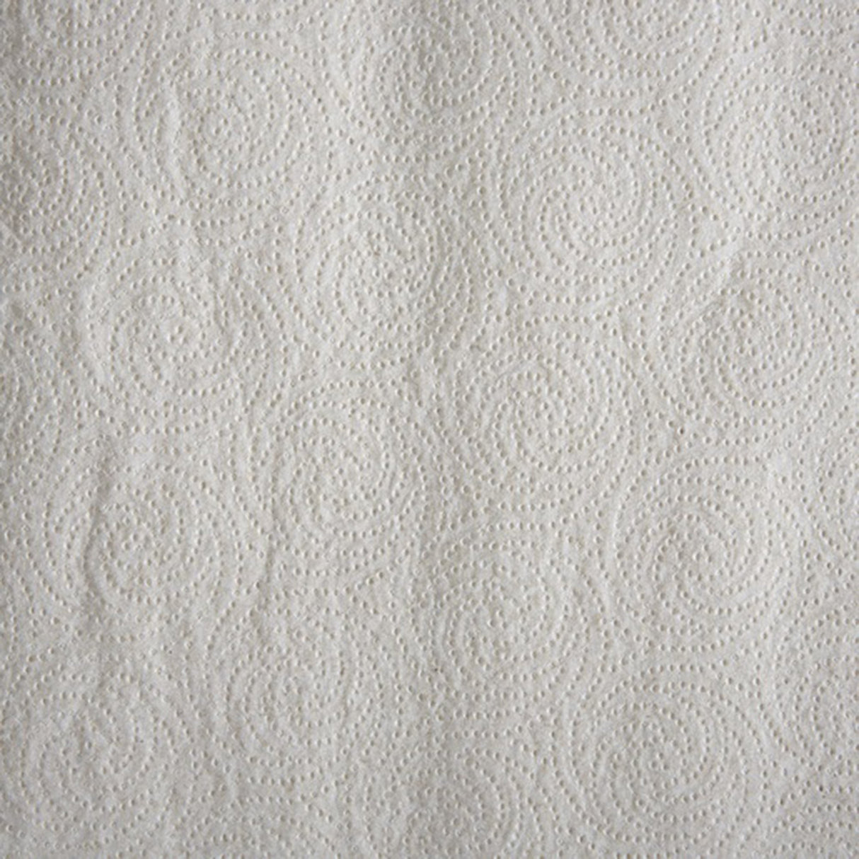Kitchen Paper Towel Pacific Blue Basic Perforated Roll 8-4/5 X 11 Inch