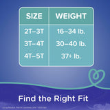 Male Toddler Training Pants Pampers Easy Ups Pull On with Tear Away Seams Size 4T to 5T Disposable Moderate Absorbency