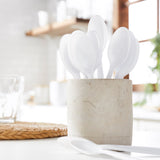 Spoon McKesson Heavy Weight White Polypropylene