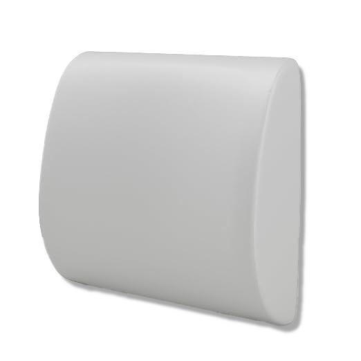 Martha Stewart Lumbar Compressed Cushion