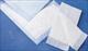 UNDERPAD DISPOSABLE ECONOMY TISSUE 17" X 24" BULK BLUE CASE/300 EACH