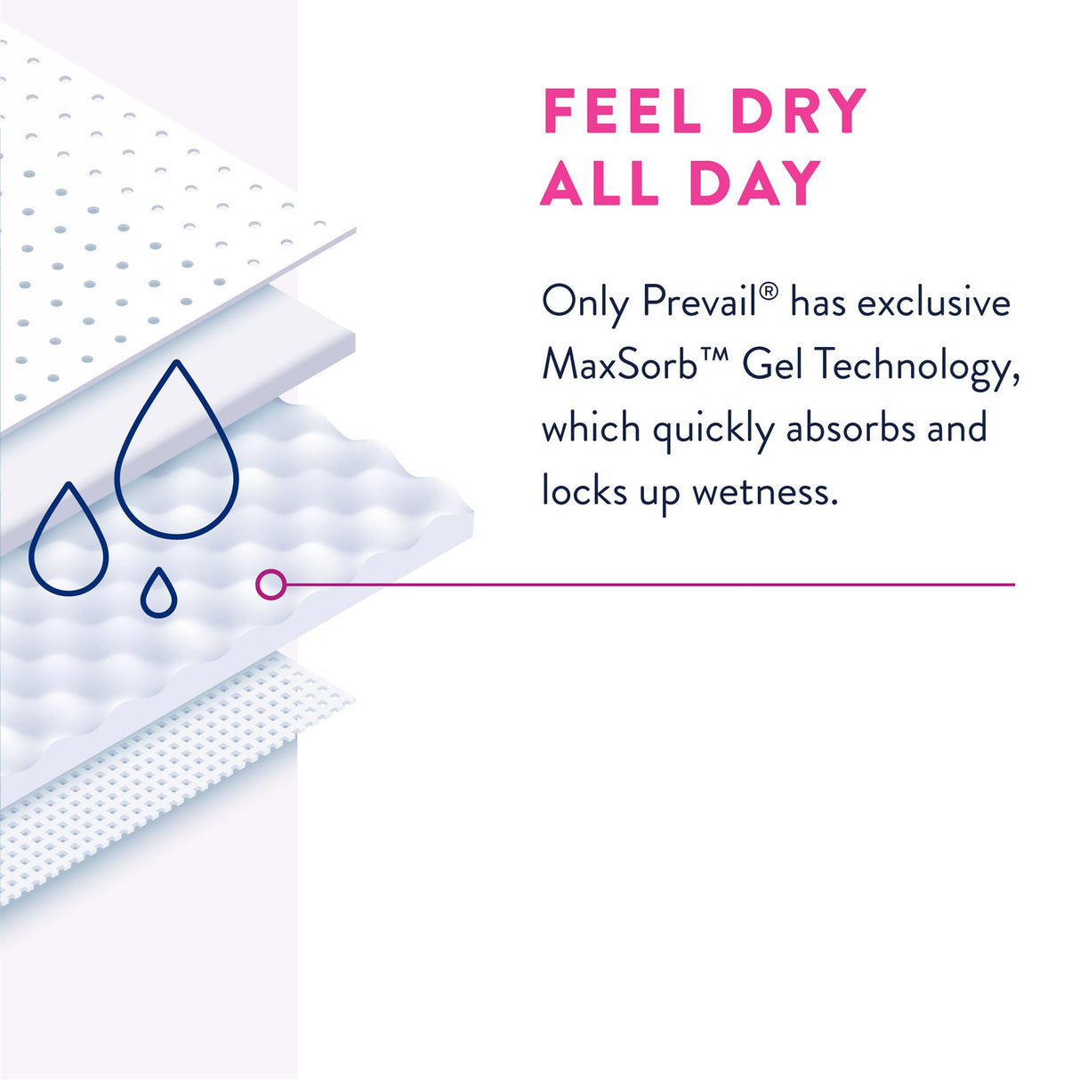 Female Adult Absorbent Underwear Prevail Daily Underwear Pull On with Tear Away Seams Large Disposable Heavy Absorbency