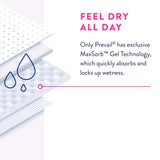 Female Adult Absorbent Underwear Prevail Daily Underwear Pull On with Tear Away Seams Large Disposable Heavy Absorbency