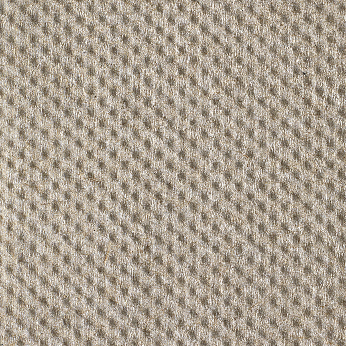 Paper Towel Pacific Blue Basic Hardwound Roll 7-7/8 Inch X 800 Foot