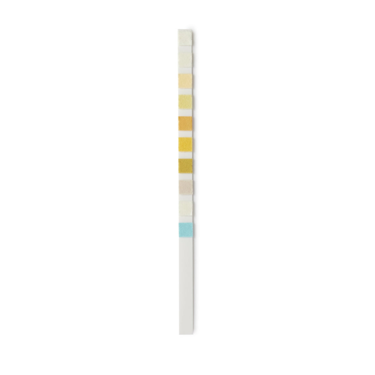 Urinalysis Reagent Clarity Bilirubin, Blood, Glucose, Ketone, Leukocytes, Nitrite, pH, Protein, Specific Gravity, Urobilinogen For Visual Read