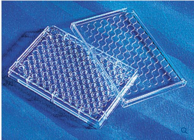 96-Well Microplate Costar Clear Sterile