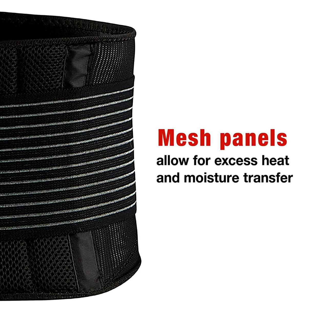 Back Support Ace One Size Fits Most Hook and Loop Closure Up to 48 Inch Waist Circumference Adult