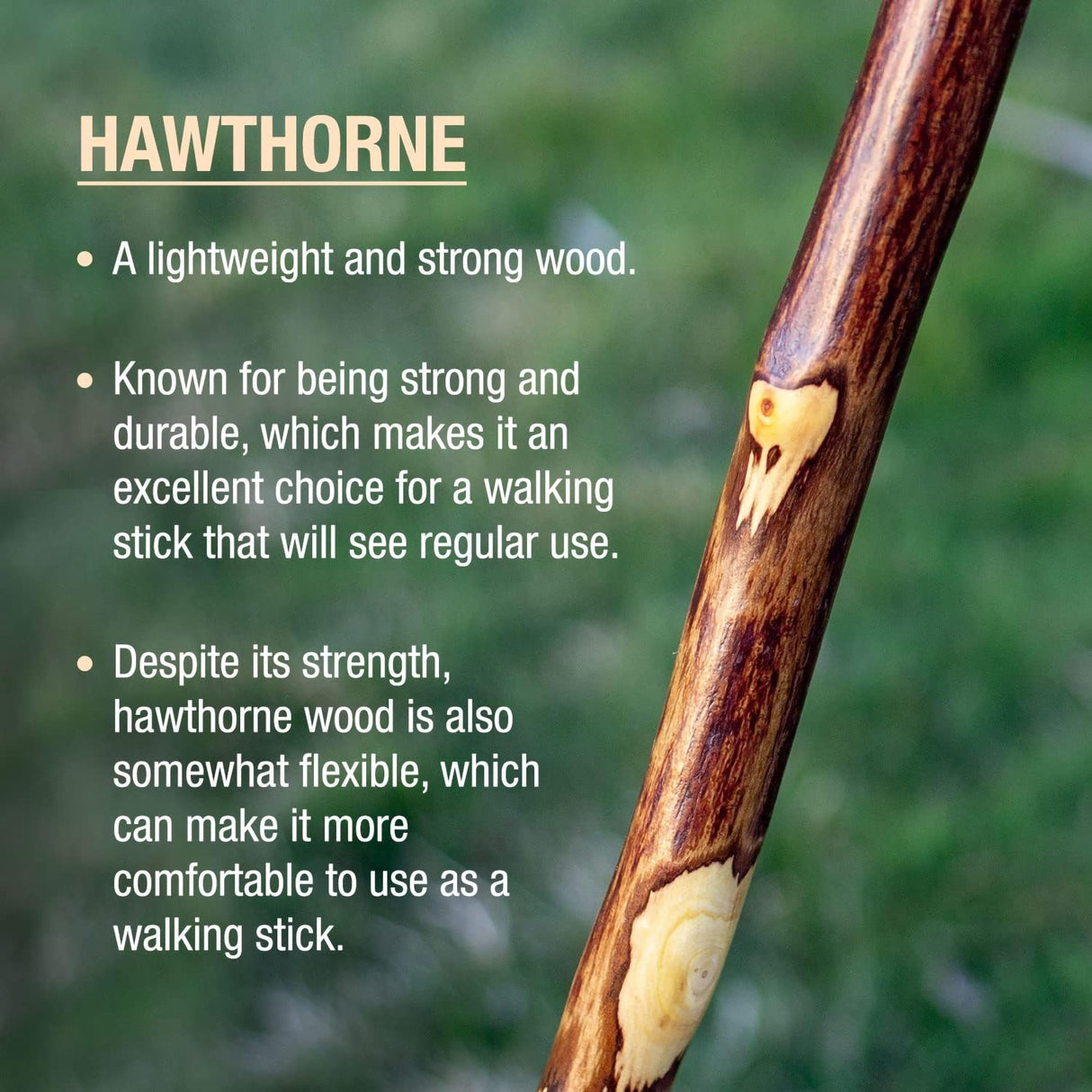 Walking Stick Brazos Free Form Wood 58 Inch Height Hawthorn
