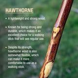 Walking Stick Brazos Free Form Wood 58 Inch Height Hawthorn