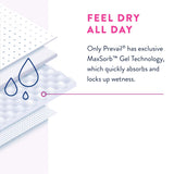 Female Adult Absorbent Underwear Prevail Daily Underwear Pull On with Tear Away Seams 2X-Large Disposable Heavy Absorbency