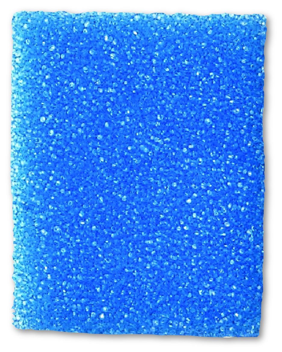 Biopsy Sponge For Securing Small Specimens During Processing